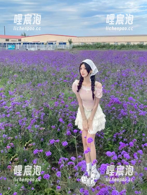 在首页黑料正能量不打烊，在线烂事儿脑洞大开